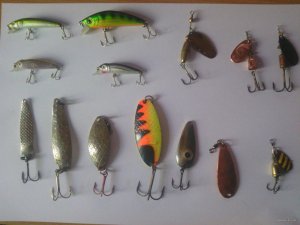 IMG_20150528_104937.jpg