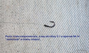 789 039.jpg