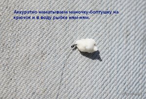 789 040.jpg