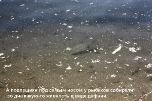 789 042.jpg