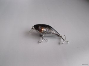 DSCF3681.JPG
