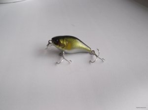 DSCF3679.JPG