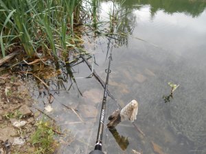 DSCN0902.JPG