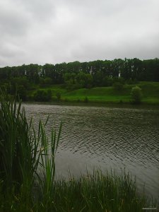Photo0148.jpg