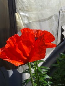 2015-06-01 09.07.54.jpg