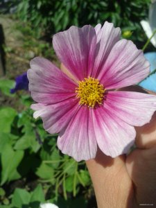 2015-06-01 09.12.06.jpg