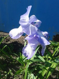 2015-06-01 09.12.41.jpg