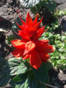2015-06-01 09.16.17.jpg