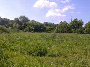2015-06-01 09.20.57.jpg