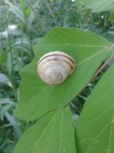 2015-06-03 12.30.27.jpg