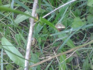 2015-06-03 12.32.25.jpg