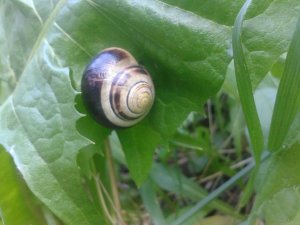 2015-06-03 12.29.13.jpg