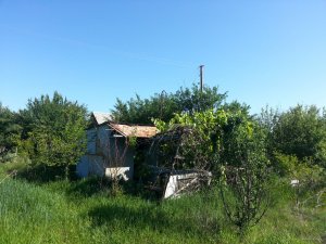 20150606_081706.jpg