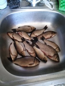 20150606_143210.jpg