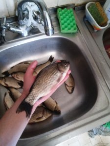 20150606_143232.jpg