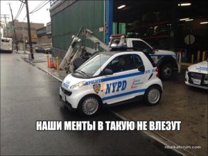 jKtTZkDPxK8.jpg