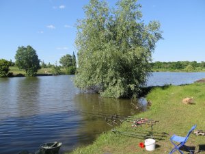 IMG_3693.JPG