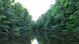 IMG_2916.JPG
