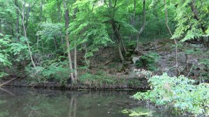 IMG_2921.JPG