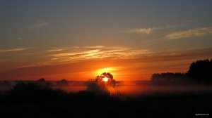 IMG_2945.JPG