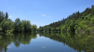 IMG_2981.JPG