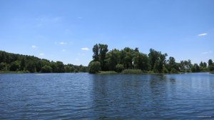 IMG_2962.JPG