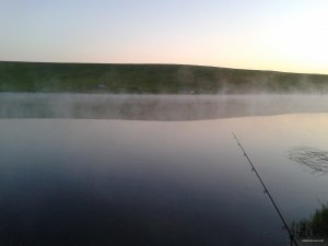 2015-06-07 04.13.13.jpg