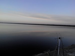 IMG_20150607_042940.jpg