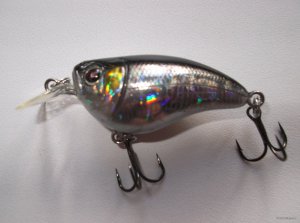 DSCF1674.JPG