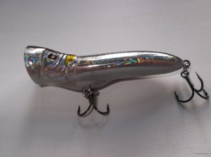 DSCF1675.JPG
