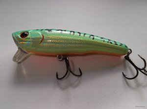 DSCF1681.JPG