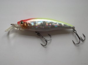 DSCF2040.JPG