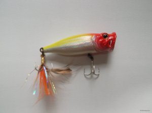 DSCF2051.JPG
