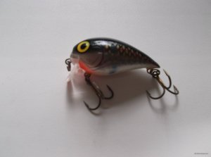 DSCF2050.JPG