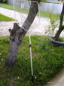 20150521_200302.jpg
