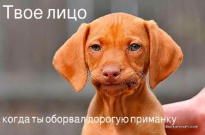 uploadfromtaptalk1433957950616.jpg