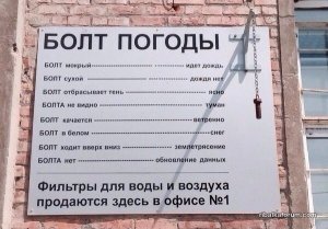 81H7bFg88_g.jpg