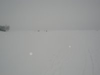 DSC06254.jpg