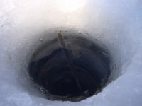 Основа 30.01.2011г. (2).jpg