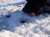 Основа 30.01.2011г. (6).jpg