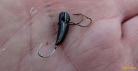 1470_club-fish.ru_6.jpg