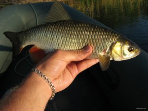 IMG_4725.JPG
