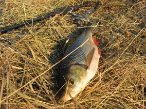 IMG_4732.JPG