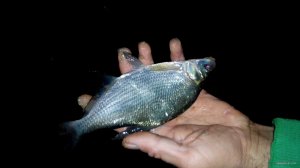 20150614221707.jpg