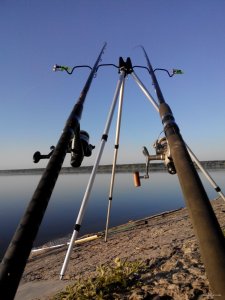 IMG_20150613_053156.jpg