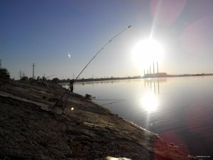 IMG_20150613_053458.jpg