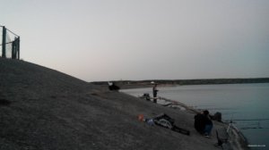 IMG_20150612_211030.jpg