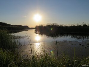 IMG_3769.JPG
