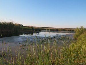 IMG_3771.JPG