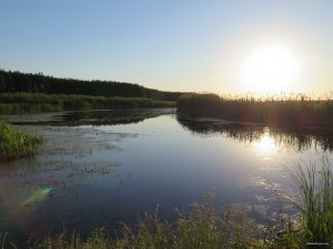 IMG_3774.JPG